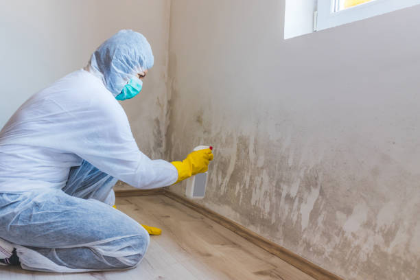 Licensed Mold Remediation service in Oakland, NJ - 24 Hour Mold Removal