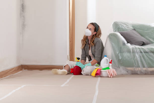 Reliable Mold Remediation contractor in Oakland, NJ by 24 Hour Mold Removal